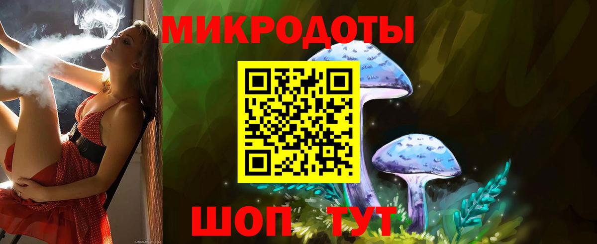 Галлюциногенные грибы мухоморы Новодвинск