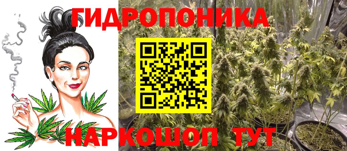 Марихуана LSD WEED  Вход с VPN  Бошки Шишки SATIVA & INDICA  Бошки Шишки план  Новодвинск 